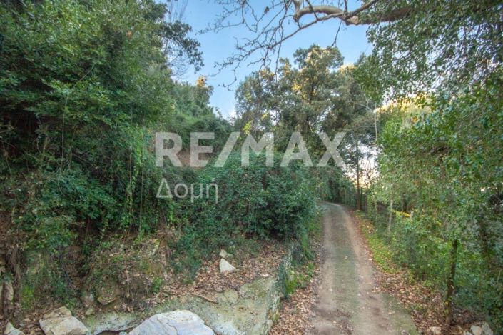 Image No.22-Property for sale