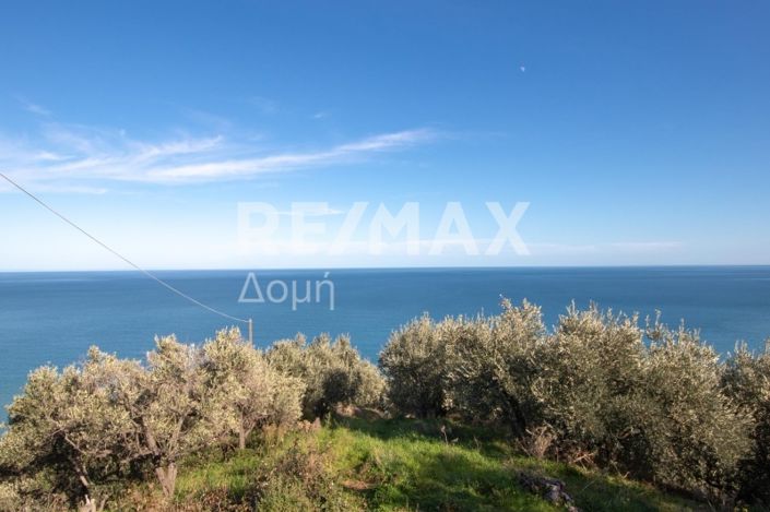 Image No.4-Property for sale