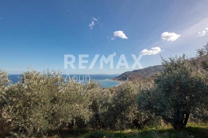 Image No.7-Property for sale