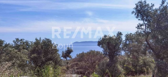 Image No.1-Property for sale