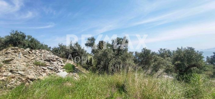 Image No.10-Propriété à vendre à Magnésie