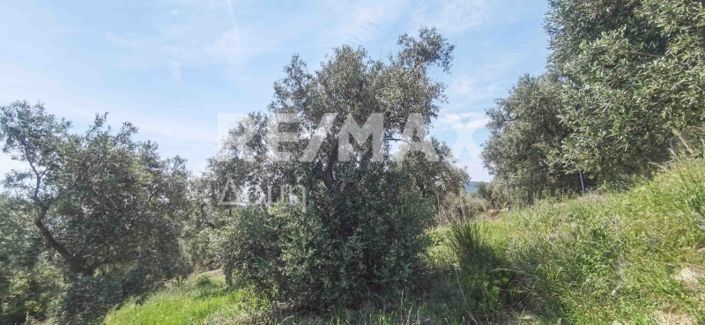 Image No.11-Propriété à vendre à Magnésie