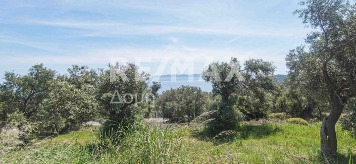 Image No.12-Propriété à vendre à Magnésie