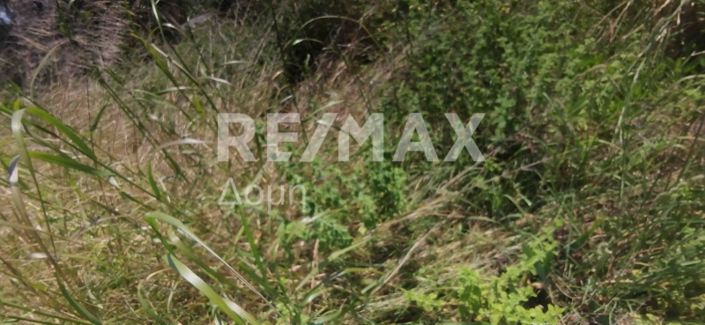 Image No.13-Propriété à vendre à Magnésie