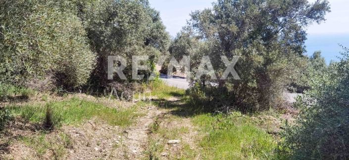 Image No.14-Propriété à vendre à Magnésie