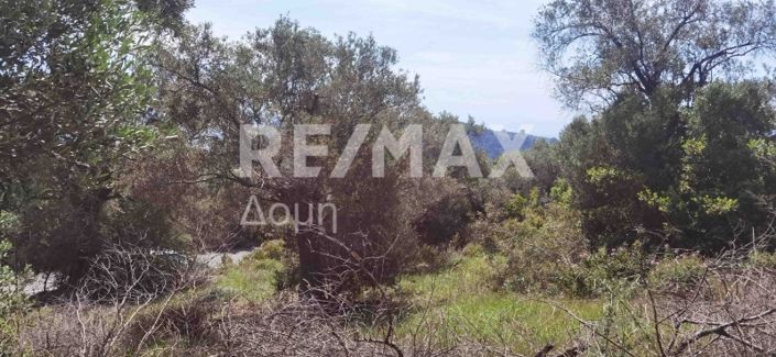 Image No.15-Propriété à vendre à Magnésie