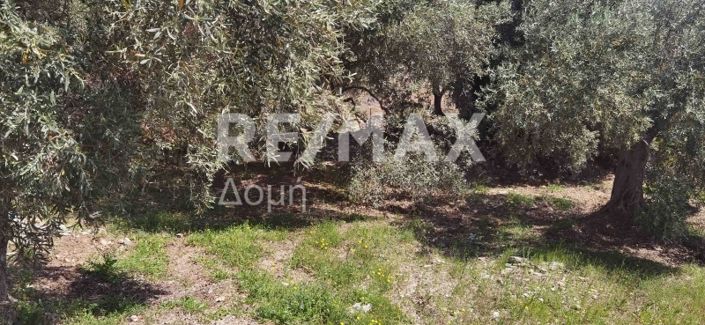 Image No.18-Propriété à vendre à Magnésie