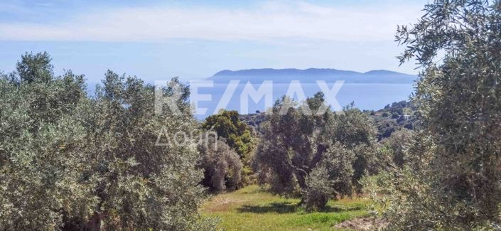 Image No.19-Propriété à vendre à Magnésie