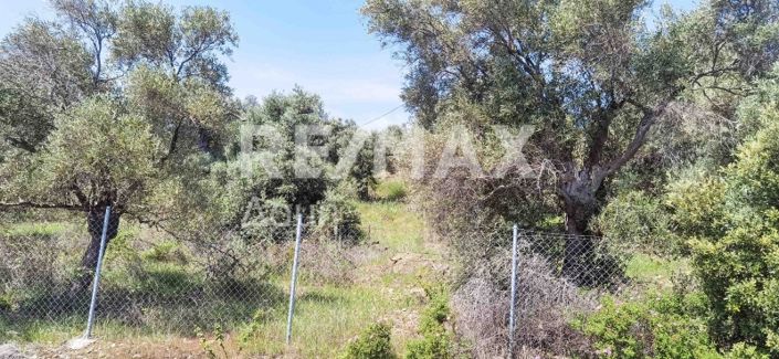 Image No.21-Propriété à vendre à Magnésie