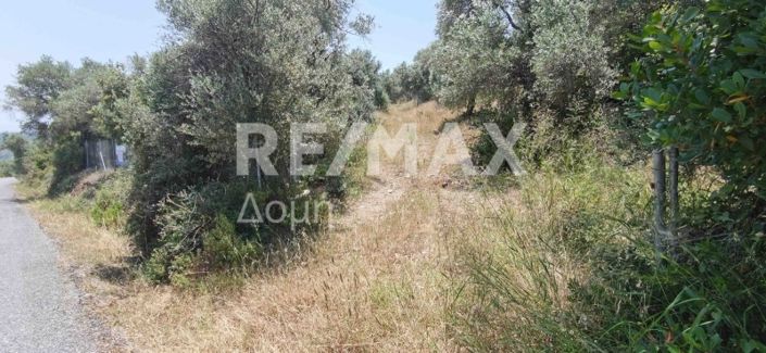 Image No.24-Propriété à vendre à Magnésie