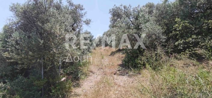 Image No.25-Propriété à vendre à Magnésie