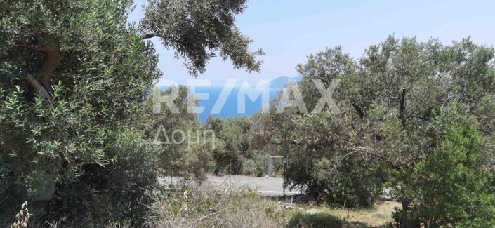 Image No.26-Propriété à vendre à Magnésie