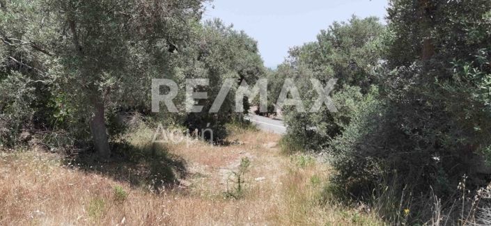 Image No.27-Propriété à vendre à Magnésie