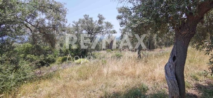 Image No.29-Propriété à vendre à Magnésie