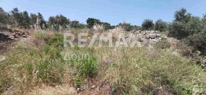 Image No.30-Propriété à vendre à Magnésie