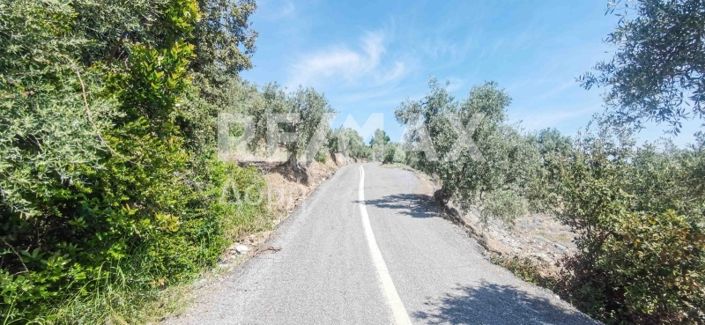 Image No.31-Propriété à vendre à Magnésie