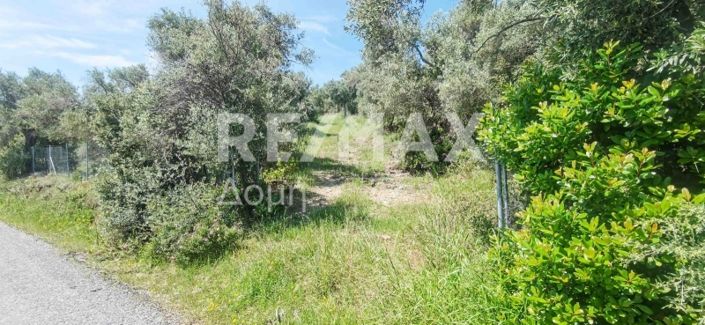 Image No.32-Propriété à vendre à Magnésie