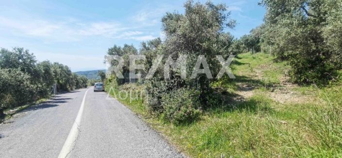 Image No.33-Propriété à vendre à Magnésie