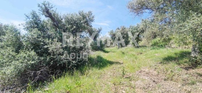 Image No.34-Propriété à vendre à Magnésie