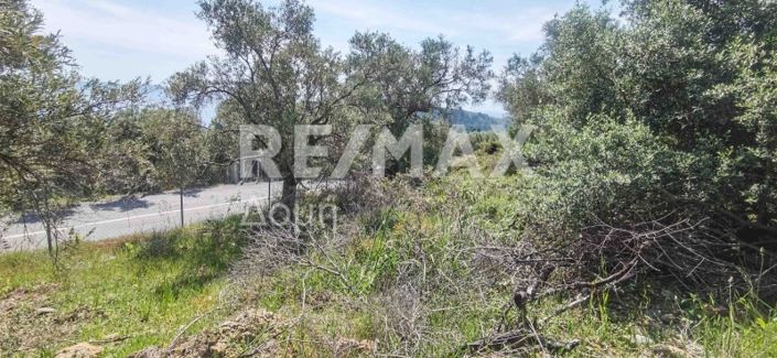 Image No.35-Propriété à vendre à Magnésie