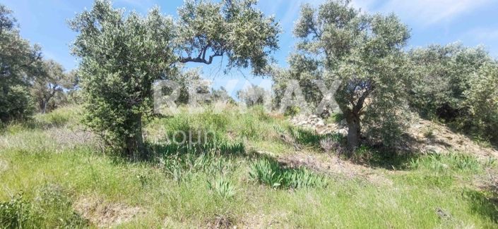 Image No.36-Propriété à vendre à Magnésie