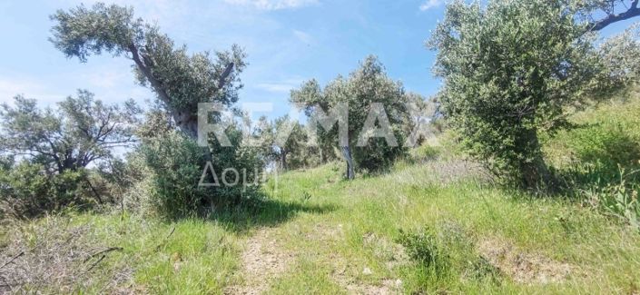 Image No.37-Propriété à vendre à Magnésie