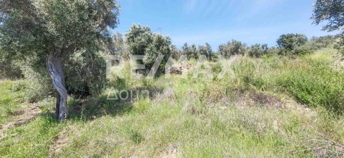 Image No.38-Propriété à vendre à Magnésie