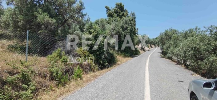 Image No.6-Propriété à vendre à Magnésie