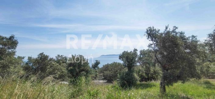 Image No.7-Propriété à vendre à Magnésie