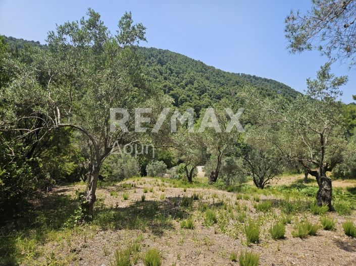 Image No.1-Property for sale