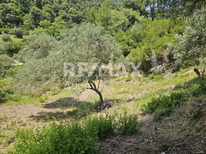 Image No.12-Property for sale