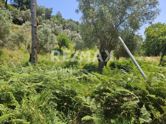 Image No.15-Property for sale