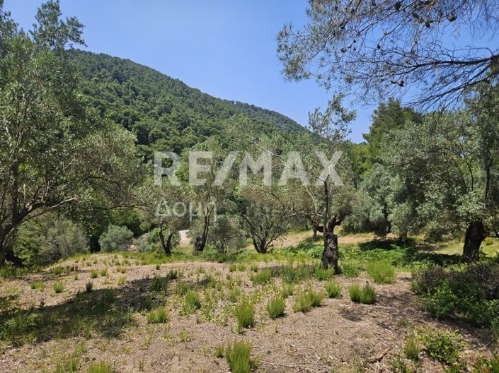 Image No.8-Property for sale