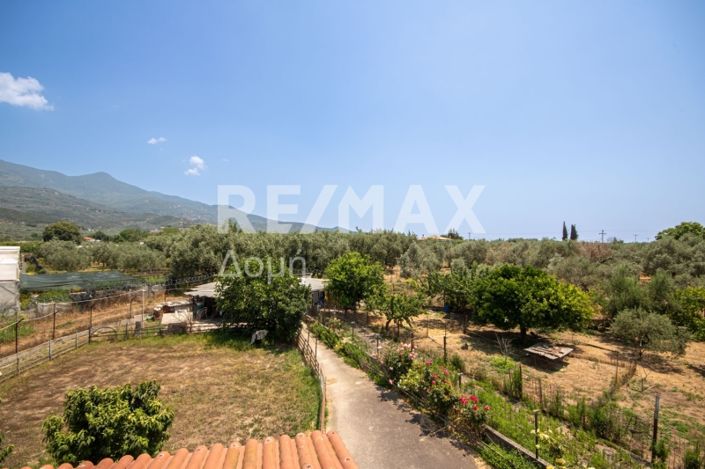 Image No.34-Propriété de 3 chambres à vendre à Center