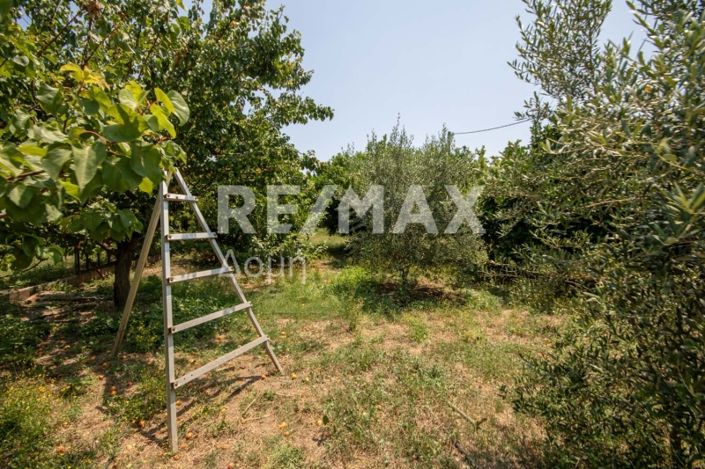 Image No.35-Propriété de 3 chambres à vendre à Center