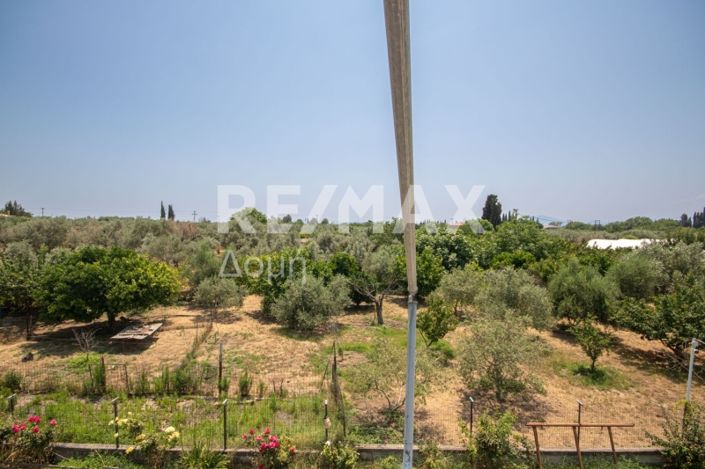 Image No.36-Propriété de 3 chambres à vendre à Center