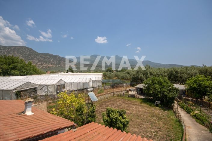 Image No.41-Propriété de 3 chambres à vendre à Center