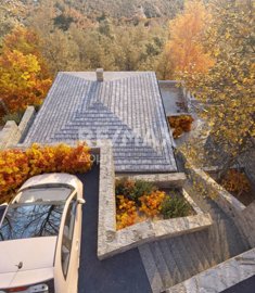 10834-118798786