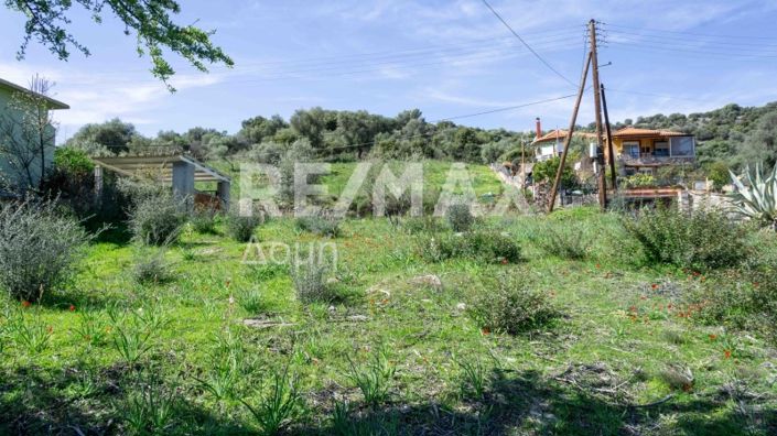 Image No.11-Propriété à vendre à Magnésie