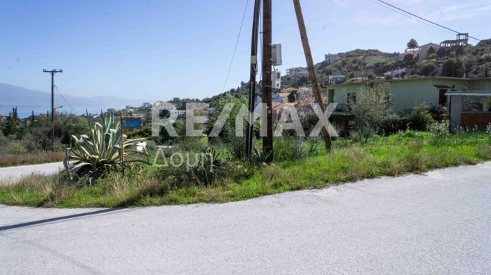 Image No.21-Propriété à vendre à Magnésie