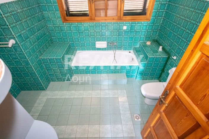 Image No.58-Maison de 5 chambres à vendre à Magnésie