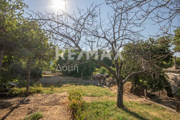 Image No.44-1 Bed House for sale