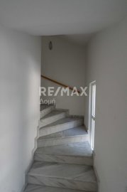 23402-119044095