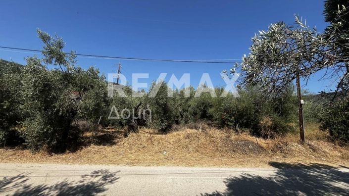 Image No.1-Property for sale