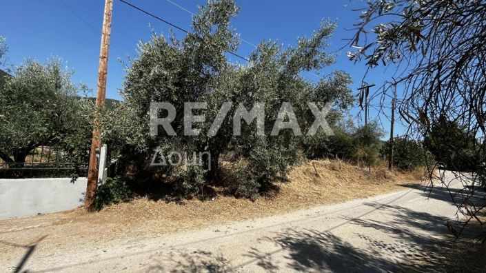 Image No.11-Property for sale