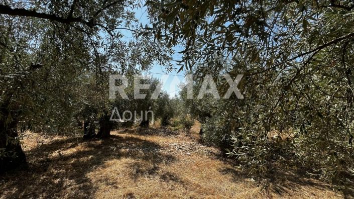 Image No.3-Property for sale