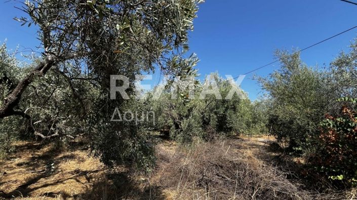 Image No.6-Property for sale