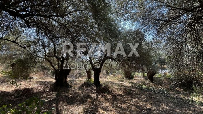 Image No.7-Property for sale