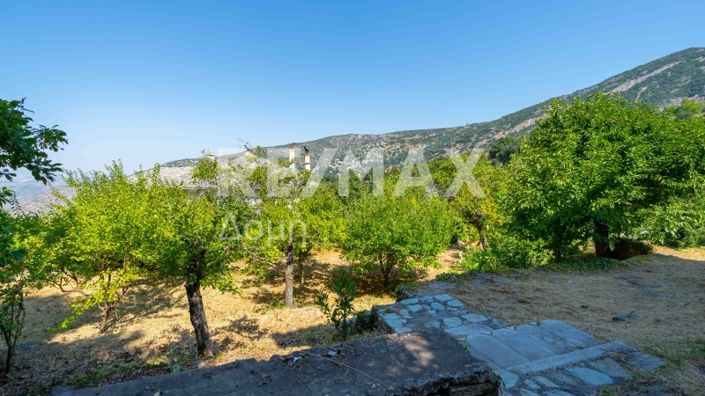 Image No.26-Propriété de 5 chambres à vendre à Center