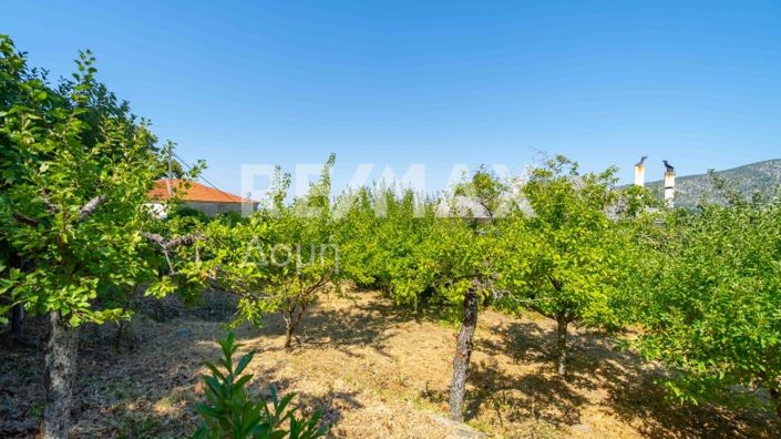 Image No.58-Propriété de 5 chambres à vendre à Center